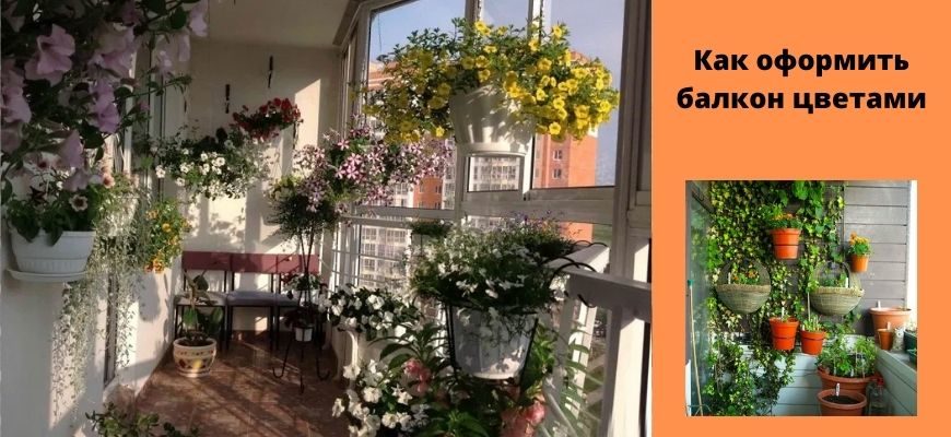 Как оформить балкон - оформление балкона цветами
