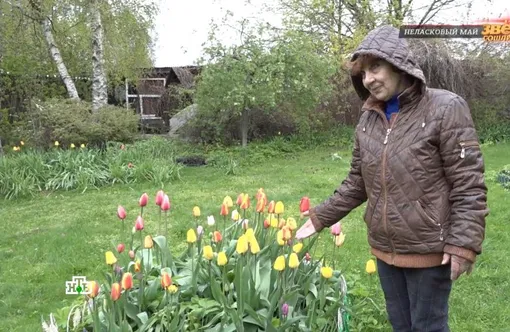 «Ничего не замёрзло»: Ангелина Вовк показала загородный дом и участок с рассадой после майских снегопадов