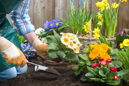 Лунный посевной календарь садовода и огородника на неделю с 13 по 19 мая 2024 года