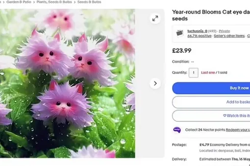 Грандиозная афера: мошенники придумали, как продавать несуществующие цветы