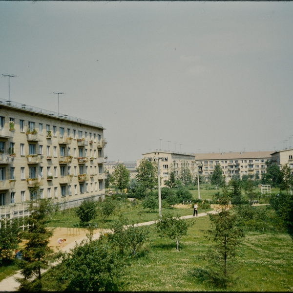 Москва 1960-х годов глазами фотографа: как выглядели наши дома и дворы в то время