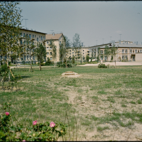 Москва 1960-х годов глазами фотографа: как выглядели наши дома и дворы в то время