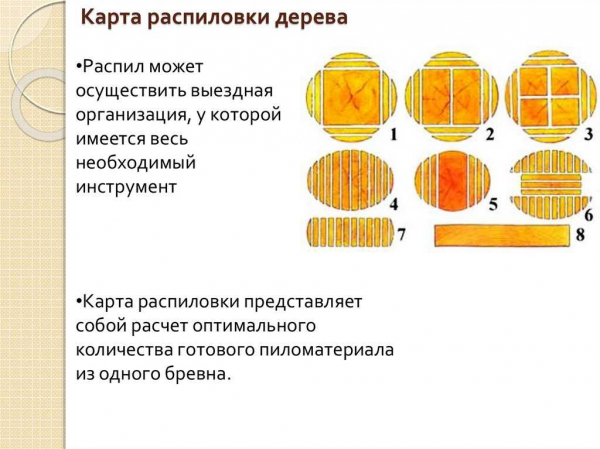 Значение размеров бревна: важность конструкции, энергетики и дизайна