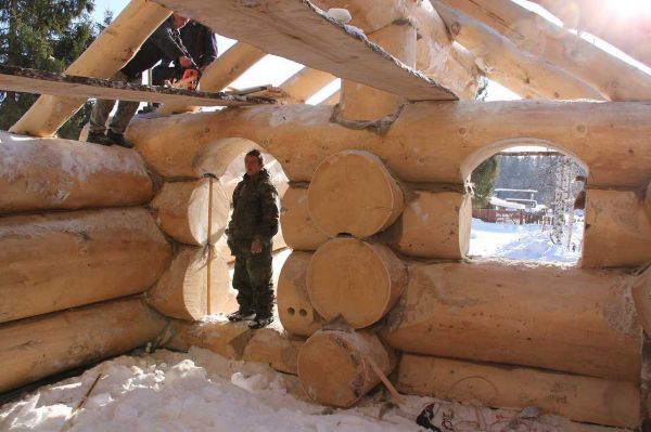 Окоренное бревно: назначение и применение